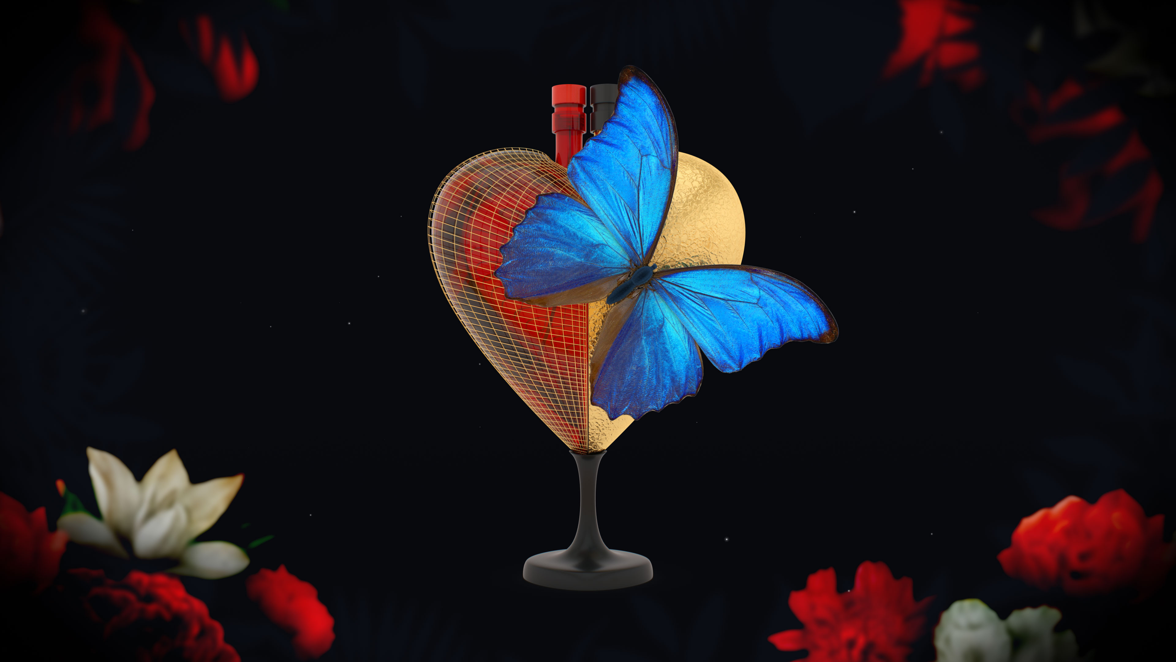 Amour en cage vue 4