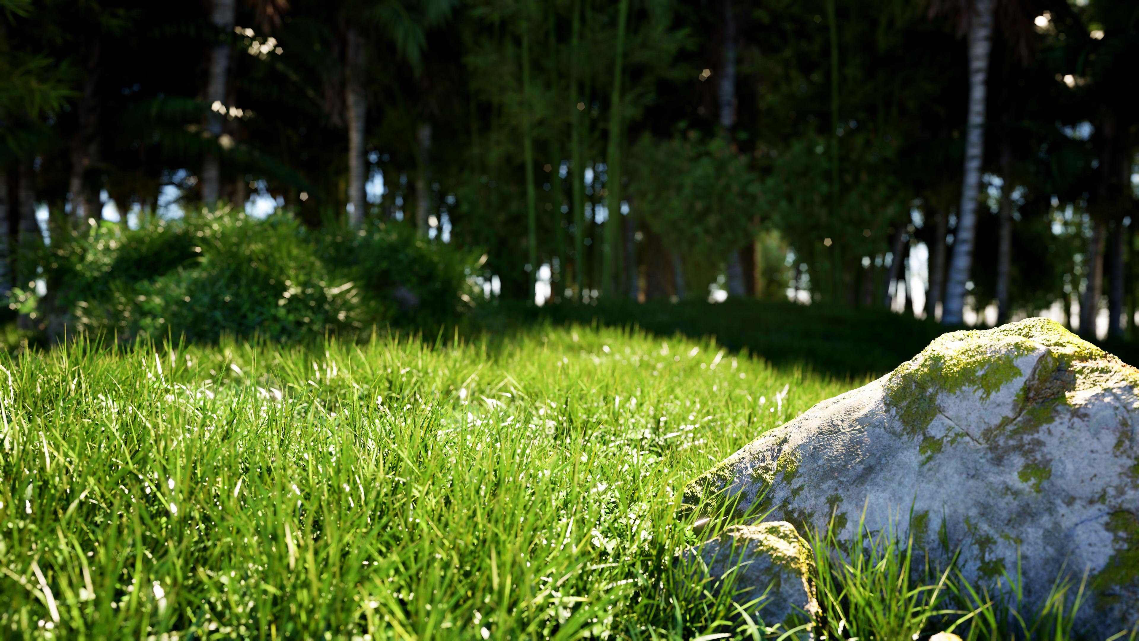 Nature