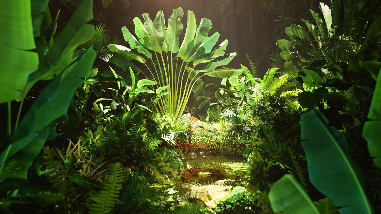la Jungle